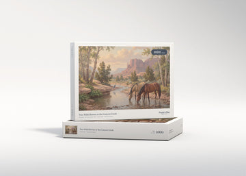 Two Wild Horses at the Canyon Creek jigsaw puzzle - gift box