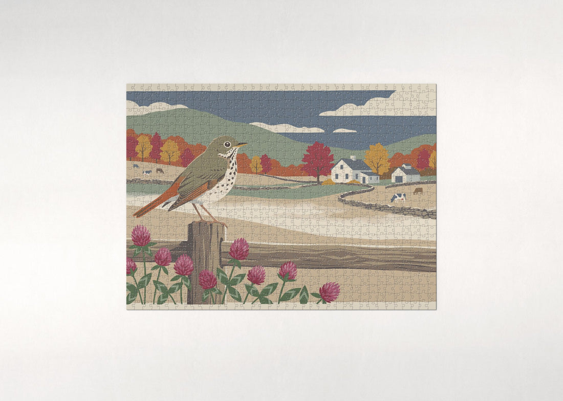 Vermont State Bird and Flower: Hermit Thrush and Red Clover jigsaw puzzle - gift box