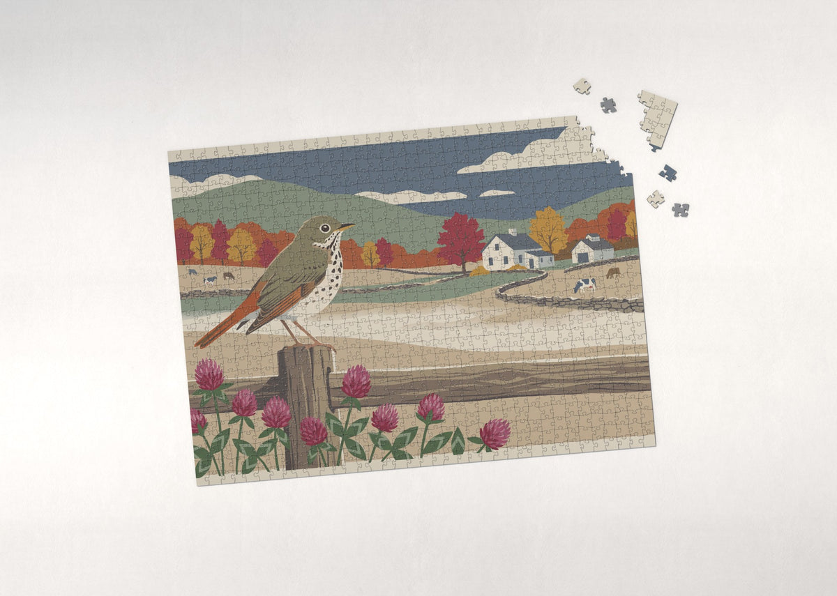 Vermont State Bird and Flower: Hermit Thrush and Red Clover jigsaw puzzle - puzzle with loose pieces