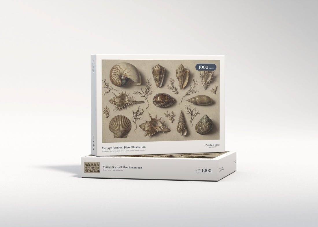 Vintage Seashell Plate Illustration jigsaw puzzle - gift box