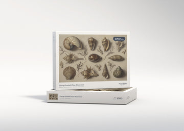 Vintage Seashell Plate Illustration jigsaw puzzle - gift box