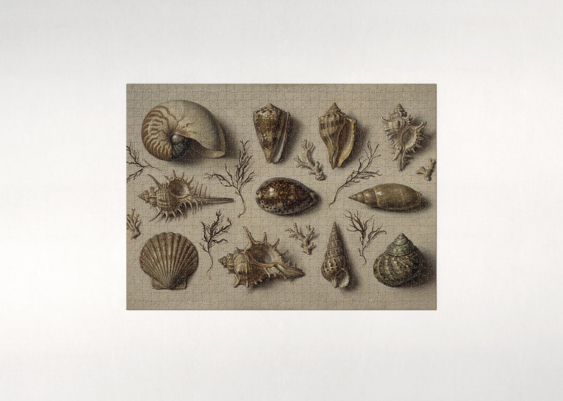 Vintage Seashell Plate Illustration jigsaw puzzle - gift box