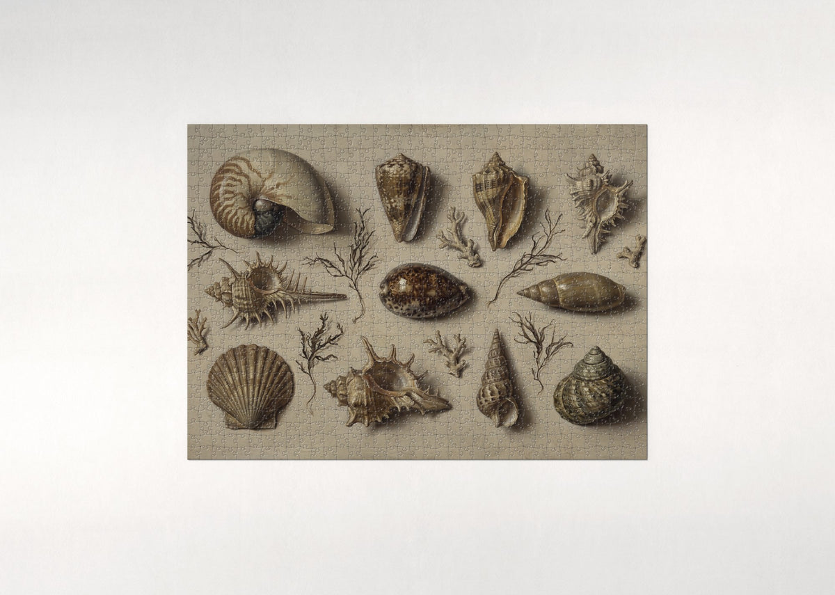 Vintage Seashell Plate Illustration jigsaw puzzle - flat puzzle