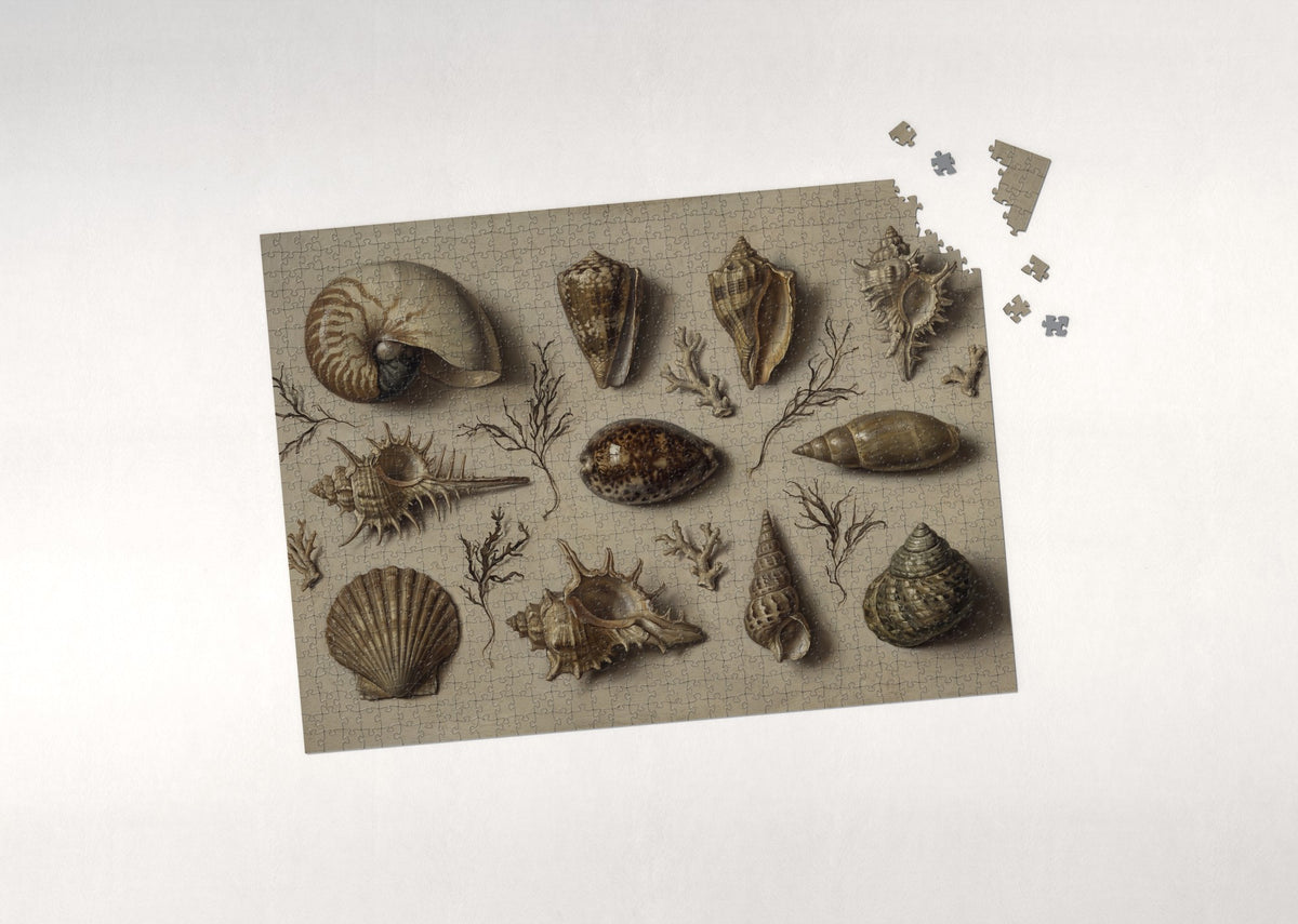 Vintage Seashell Plate Illustration jigsaw puzzle - puzzle with loose pieces