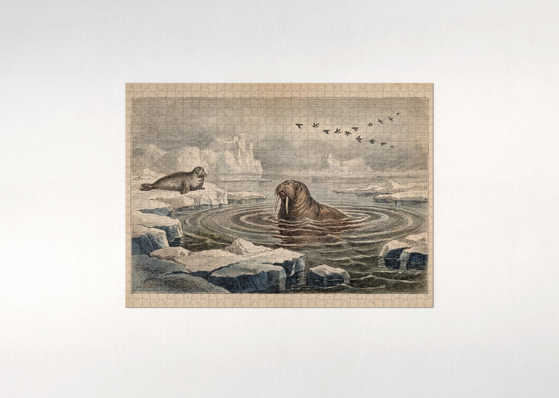 Walrus Among the Drifting Ice jigsaw puzzle - gift box