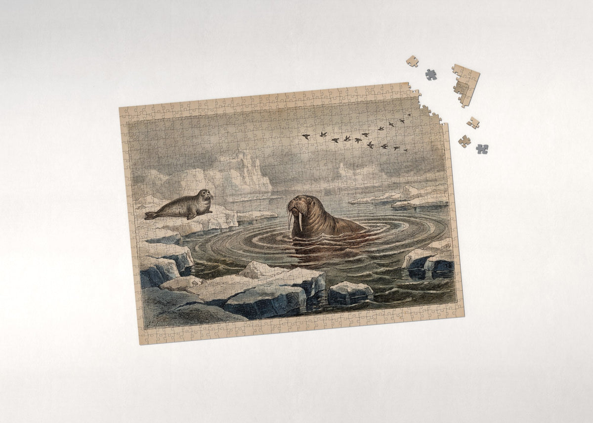 Walrus Among the Drifting Ice jigsaw puzzle - puzzle with loose pieces