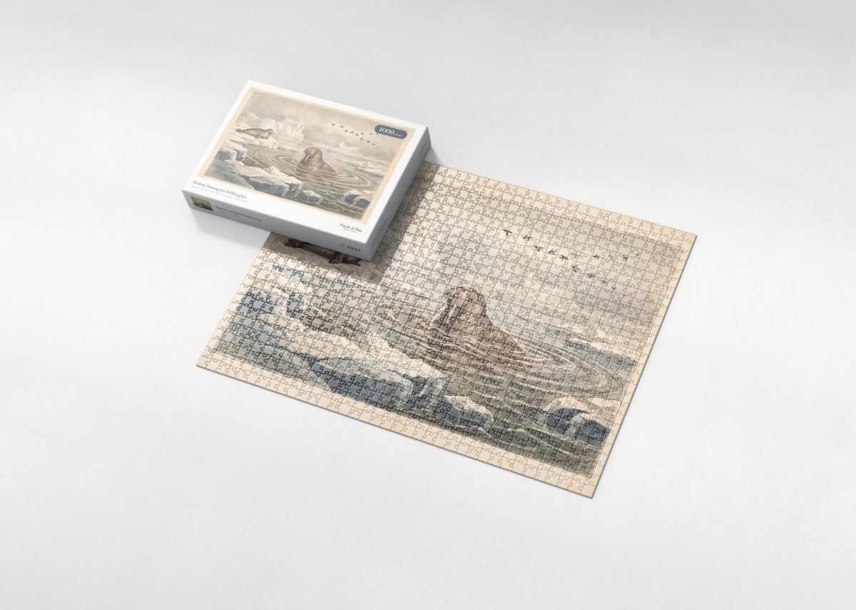 Walrus Among the Drifting Ice jigsaw puzzle - box and puzzle