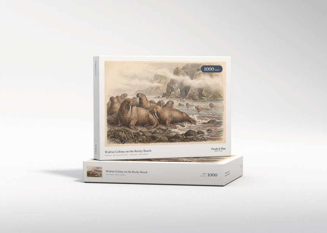 Walrus Colony on the Rocky Beach jigsaw puzzle - gift box