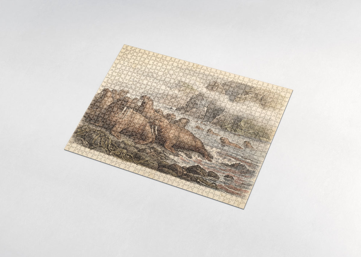 Walrus Colony on the Rocky Beach jigsaw puzzle - assembled puzzle