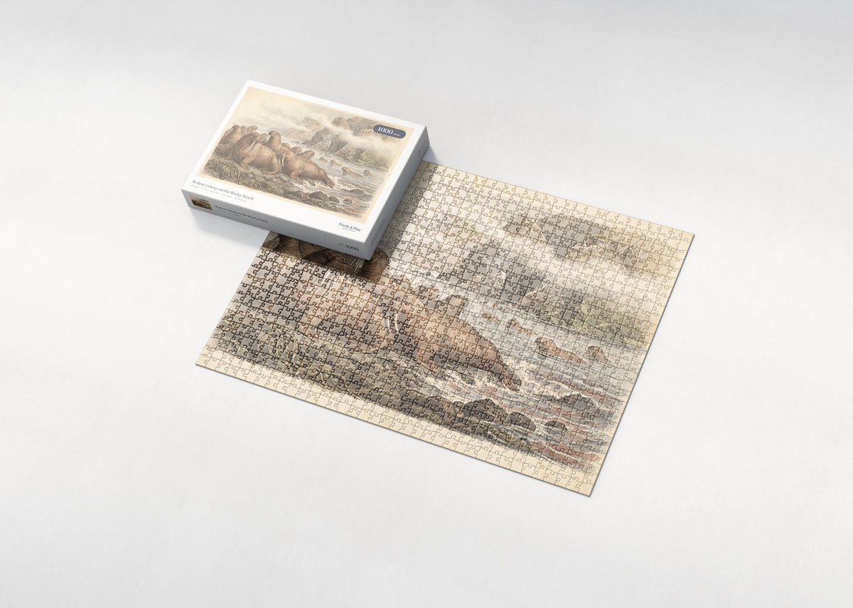 Walrus Colony on the Rocky Beach jigsaw puzzle - box and puzzle