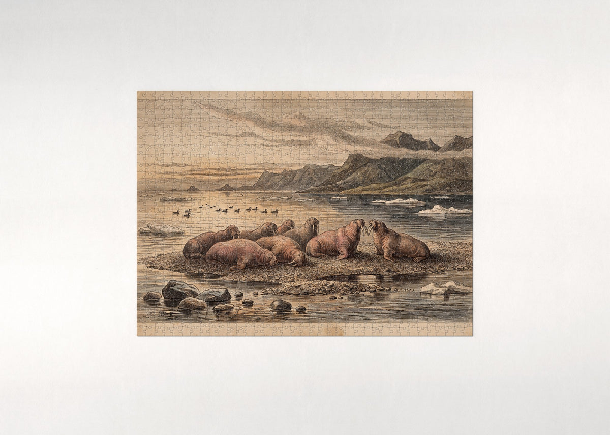 Walrus Herd Hauled Out at Sunset jigsaw puzzle - flat puzzle