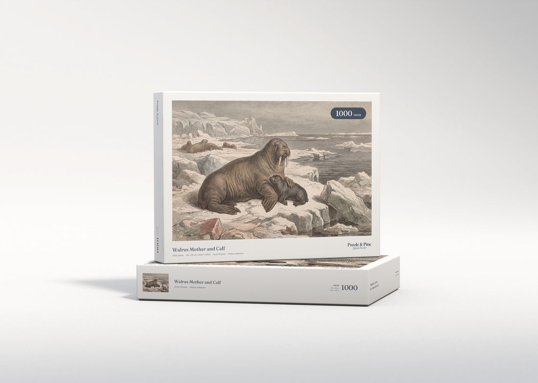 Walrus Mother and Calf jigsaw puzzle - gift box
