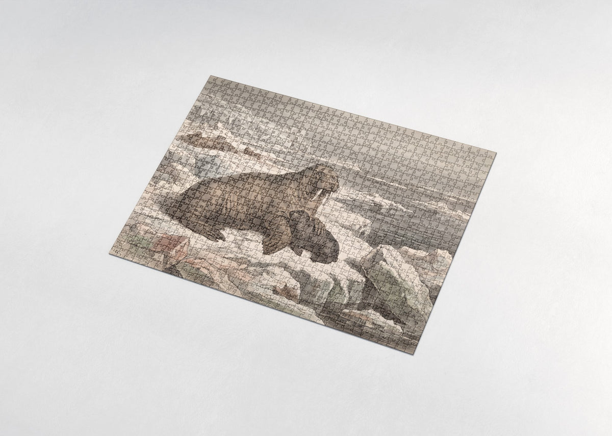 Walrus Mother and Calf jigsaw puzzle - assembled puzzle
