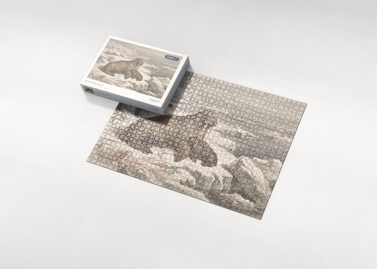 Walrus Mother and Calf jigsaw puzzle - box and puzzle
