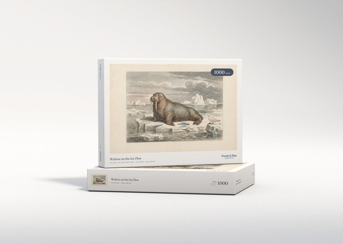 Walrus on the Ice Floe jigsaw puzzle - gift box