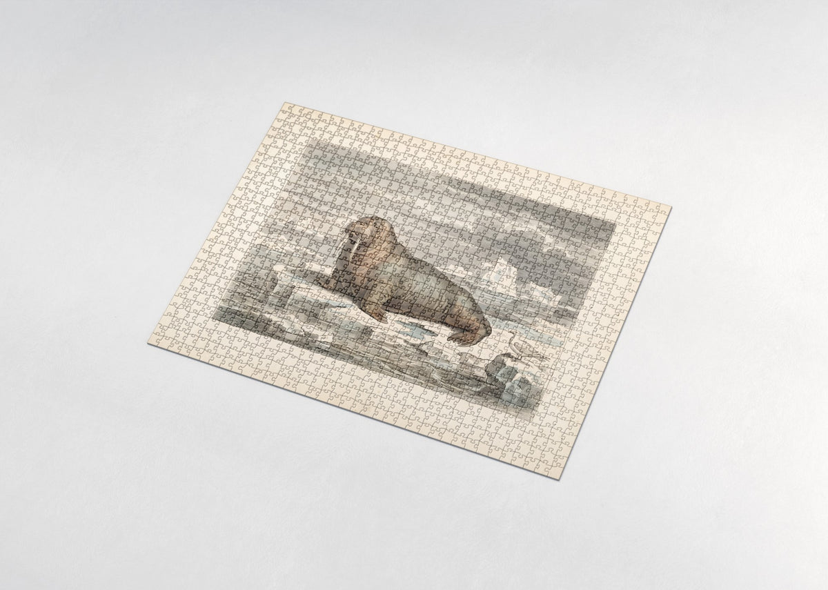 Walrus on the Ice Floe jigsaw puzzle - assembled puzzle