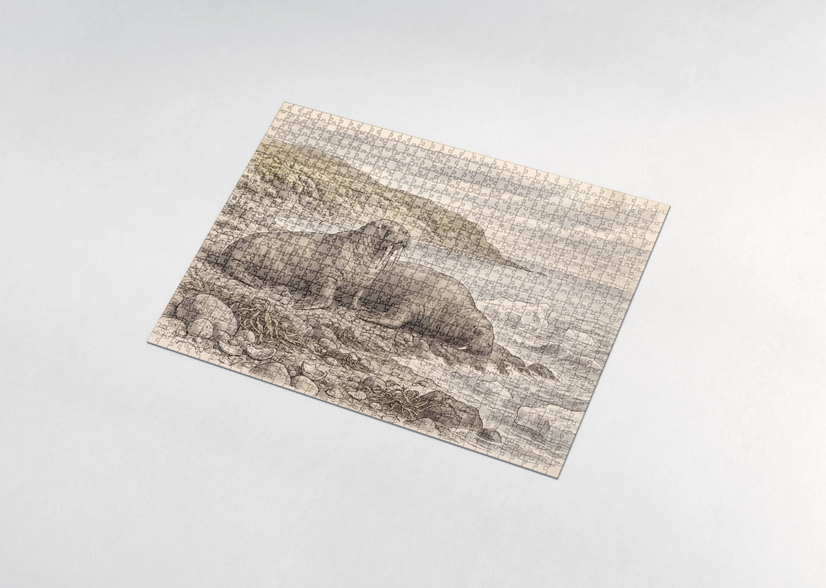 Walrus Pair at the Arctic Shore jigsaw puzzle - assembled puzzle