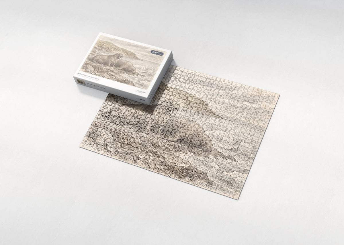 Walrus Pair at the Arctic Shore jigsaw puzzle - box and puzzle