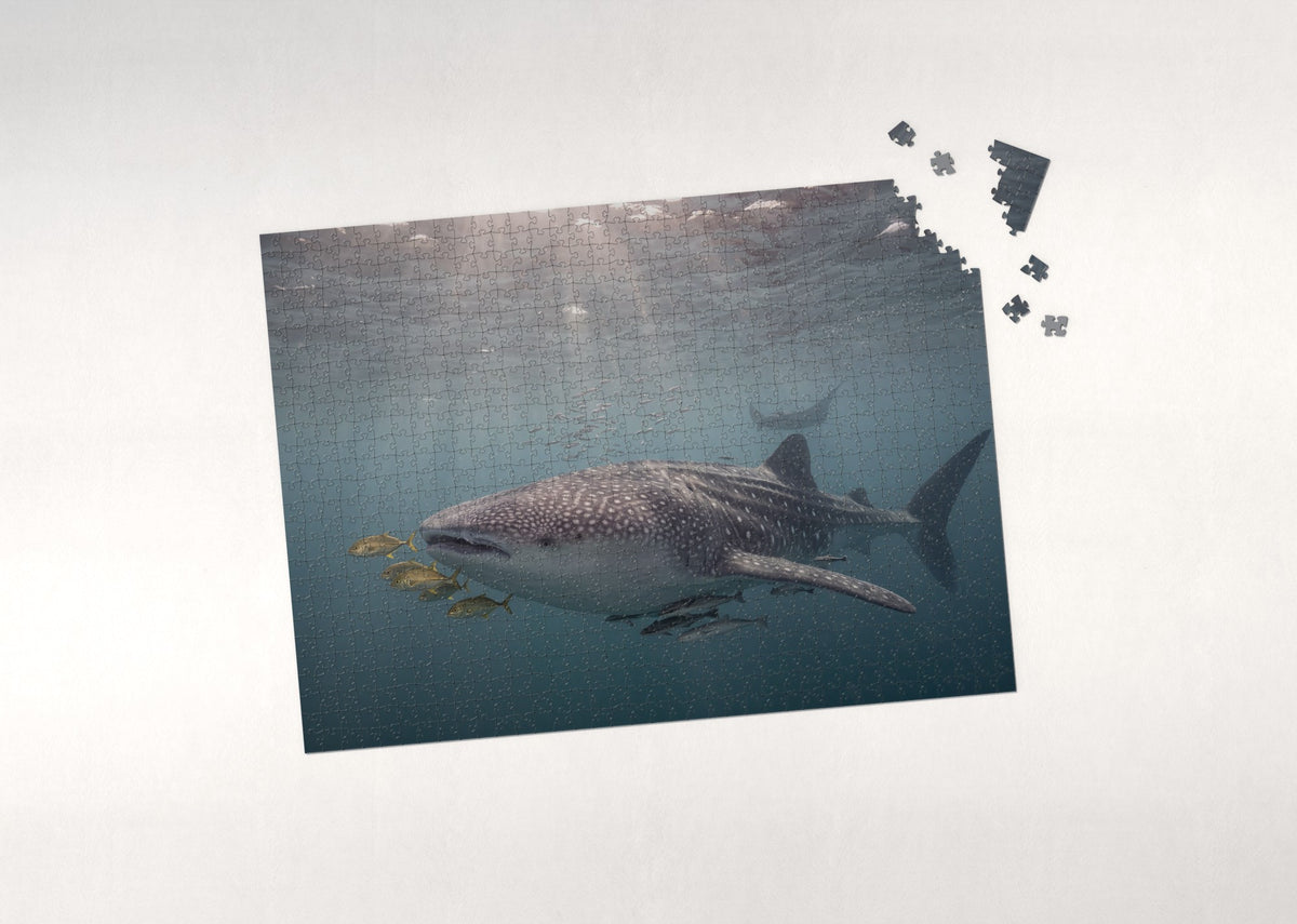 Whale Shark in the Sunlit Blue jigsaw puzzle - puzzle with loose pieces