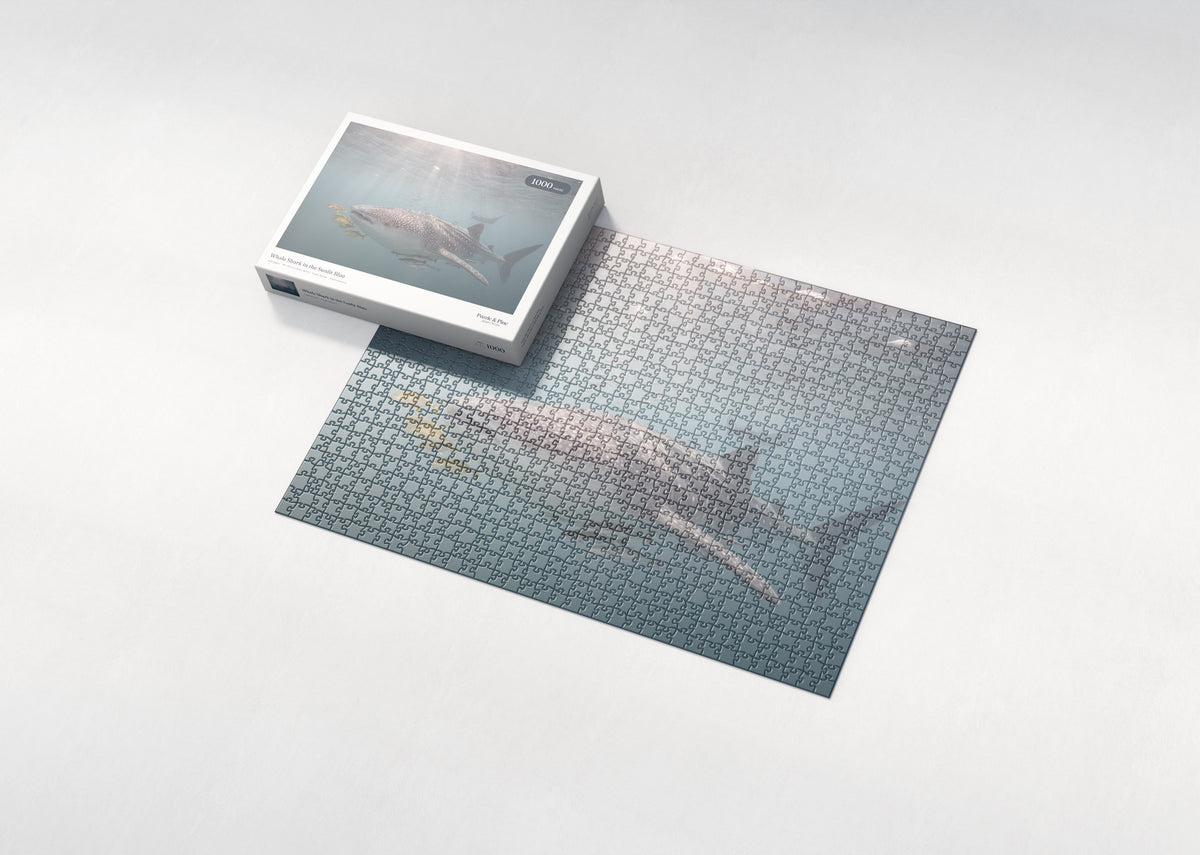 Whale Shark in the Sunlit Blue jigsaw puzzle - box and puzzle
