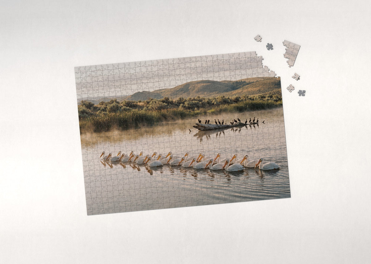 White Pelicans on the Morning Lake jigsaw puzzle - puzzle with loose pieces