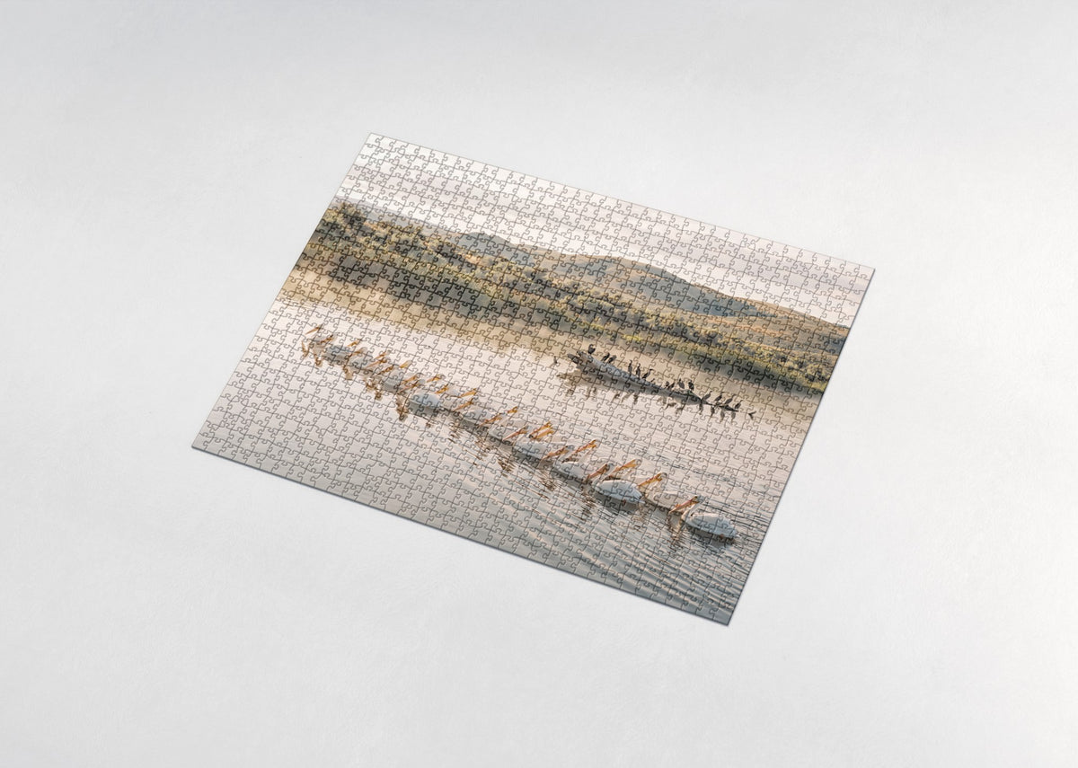 White Pelicans on the Morning Lake jigsaw puzzle - assembled puzzle
