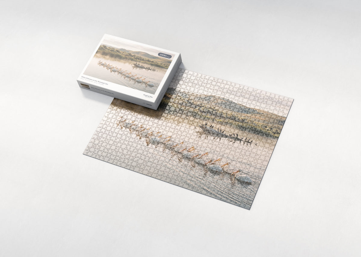 White Pelicans on the Morning Lake jigsaw puzzle - box and puzzle