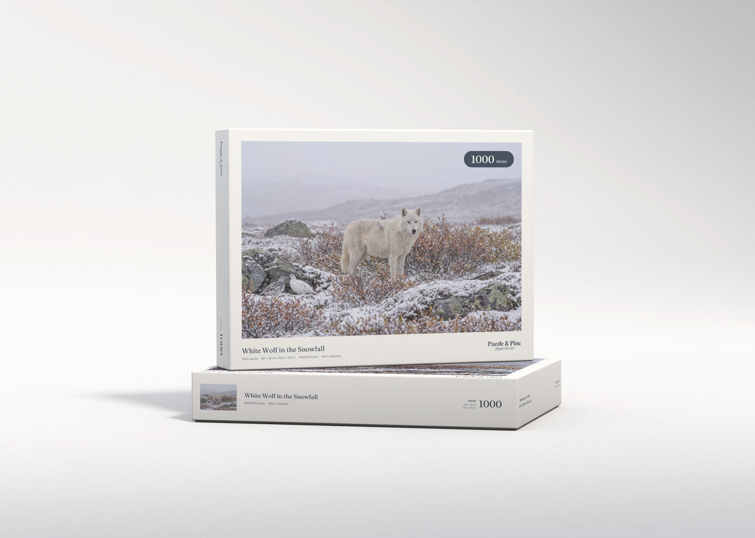 White Wolf in the Snowfall jigsaw puzzle - gift box