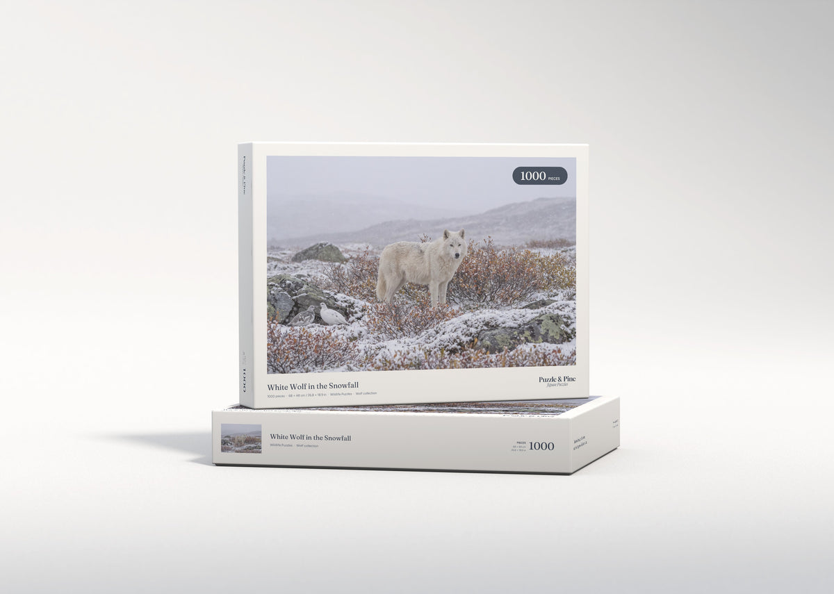 White Wolf in the Snowfall jigsaw puzzle - gift box