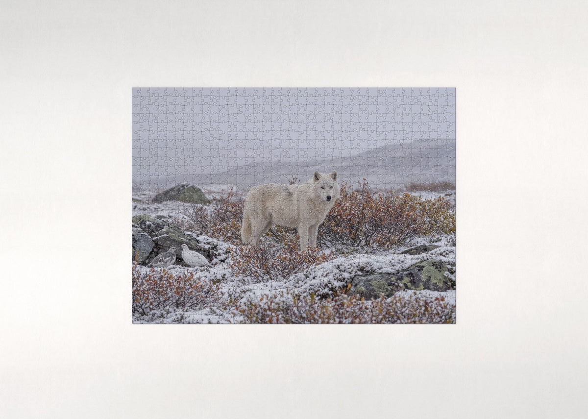 White Wolf in the Snowfall jigsaw puzzle - flat puzzle