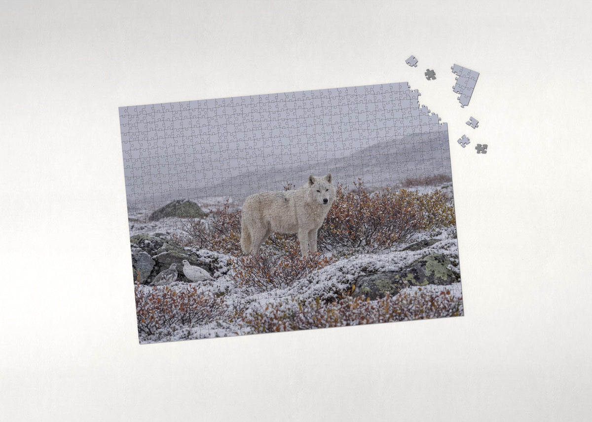 White Wolf in the Snowfall jigsaw puzzle - puzzle with loose pieces