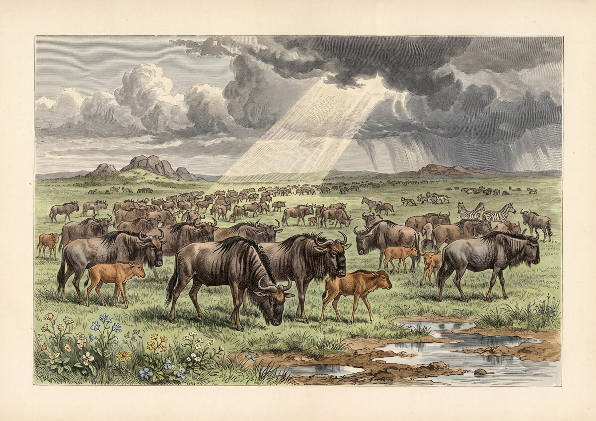 Wildebeest Herd Under the Storm Clouds jigsaw puzzle