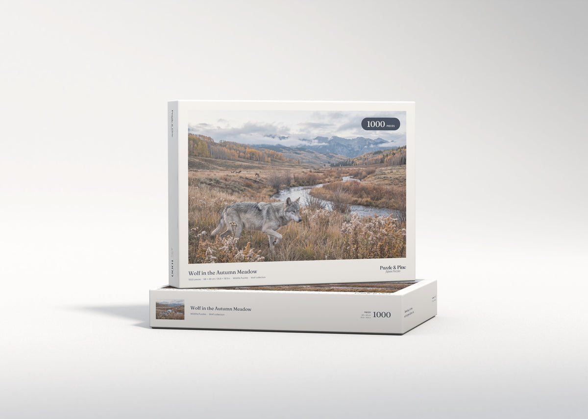 Wolf in the Autumn Meadow jigsaw puzzle - gift box