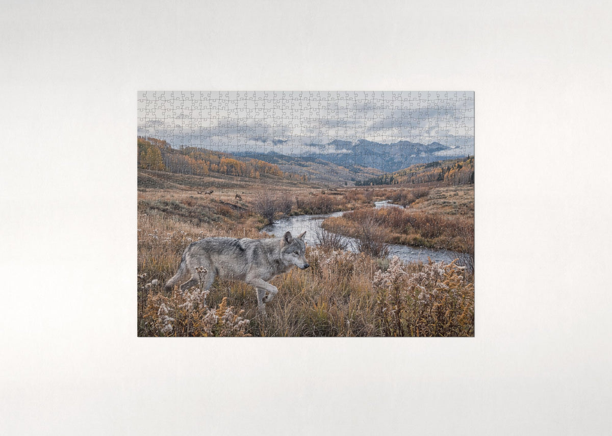 Wolf in the Autumn Meadow jigsaw puzzle - flat puzzle