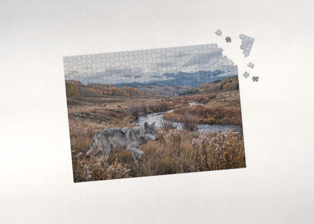 Wolf in the Autumn Meadow jigsaw puzzle - puzzle with loose pieces