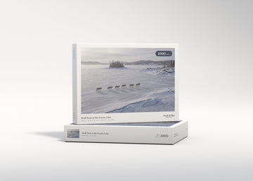 Wolf Pack at the Frozen Lake jigsaw puzzle - gift box
