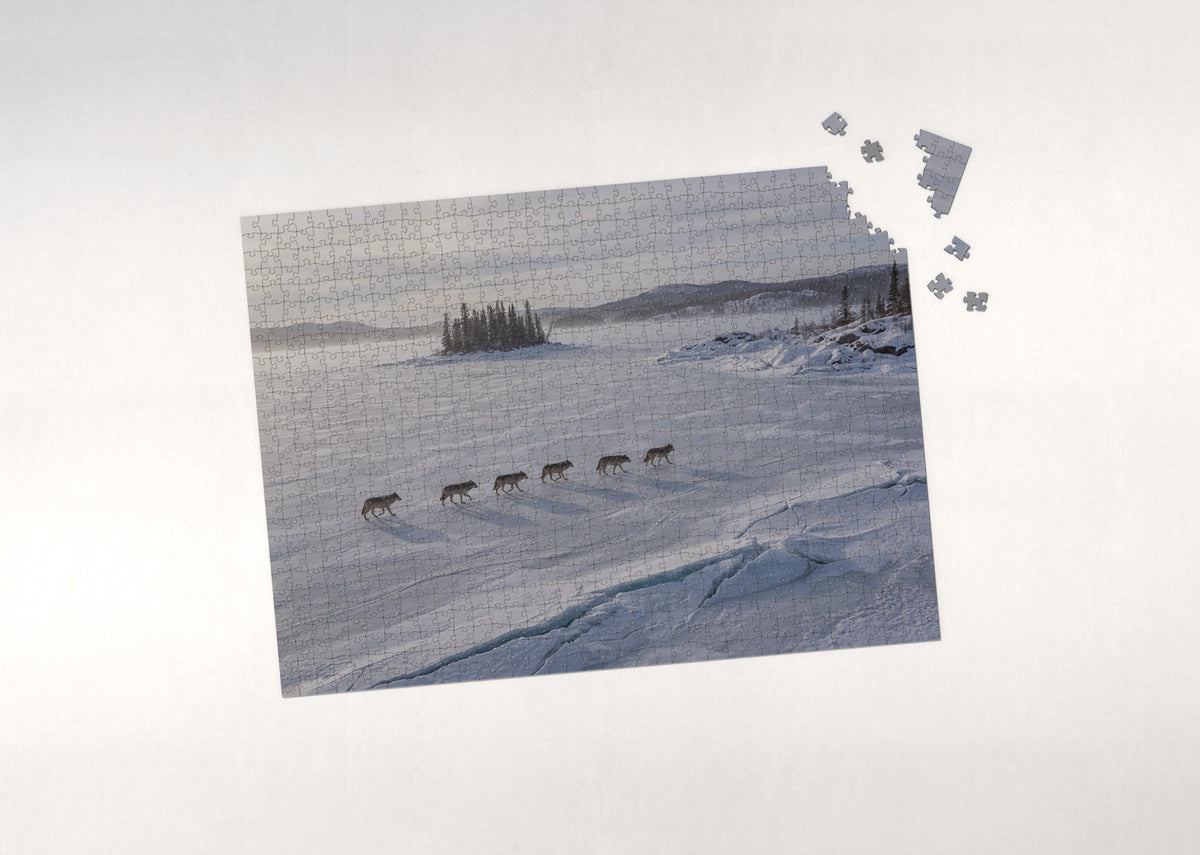 Wolf Pack at the Frozen Lake jigsaw puzzle - puzzle with loose pieces