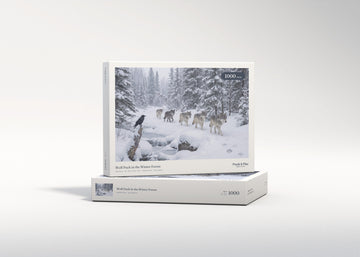 Wolf Pack in the Winter Forest jigsaw puzzle - gift box