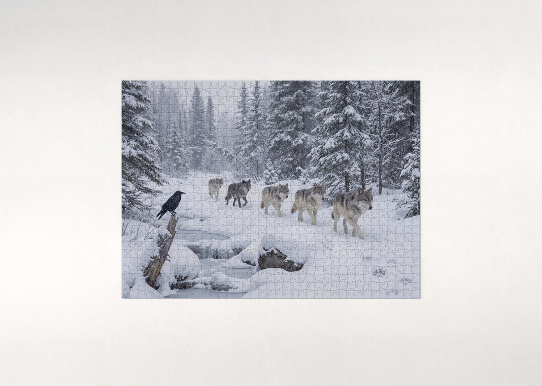Wolf Pack in the Winter Forest jigsaw puzzle - gift box