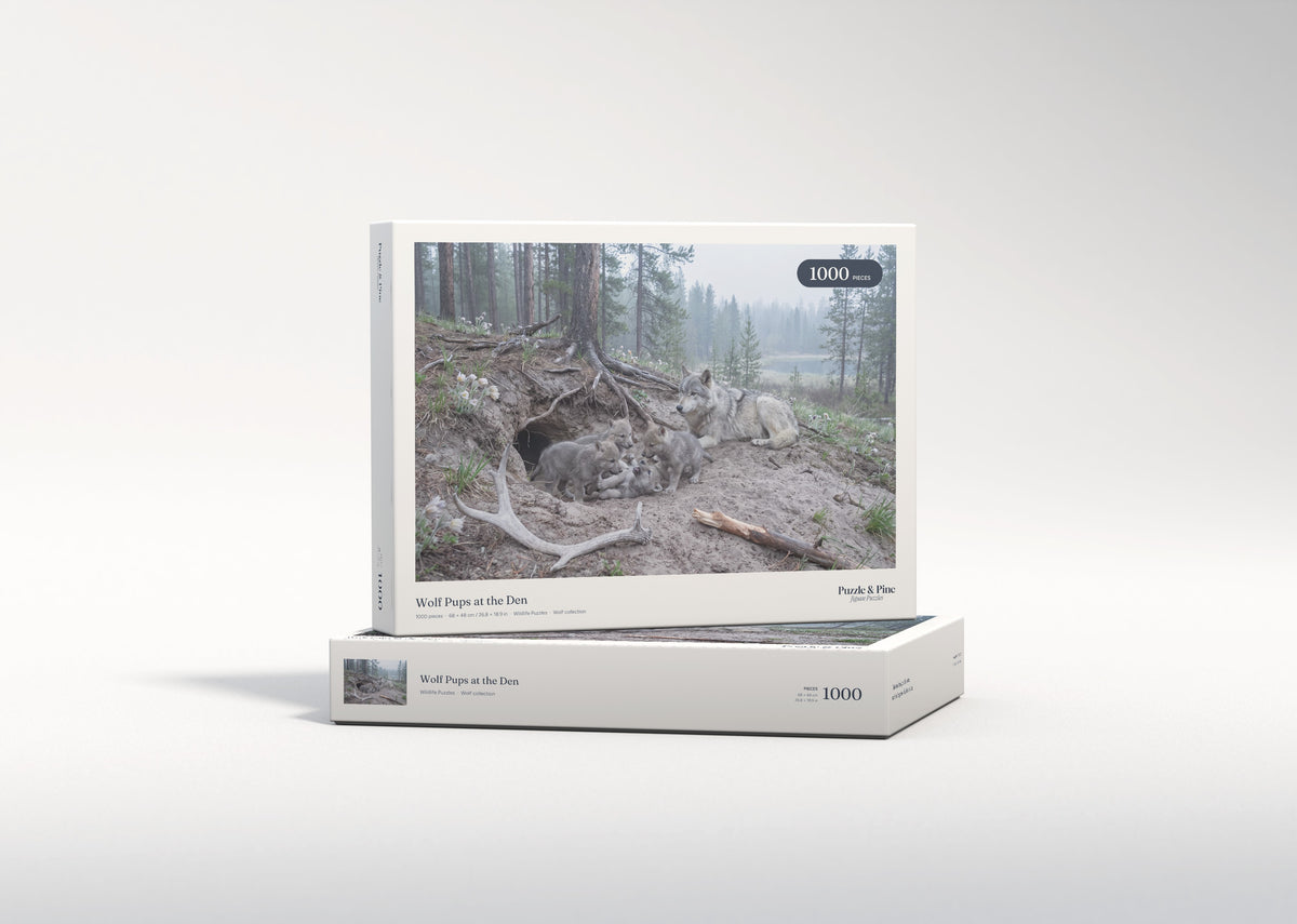 Wolf Pups at the Den jigsaw puzzle - gift box