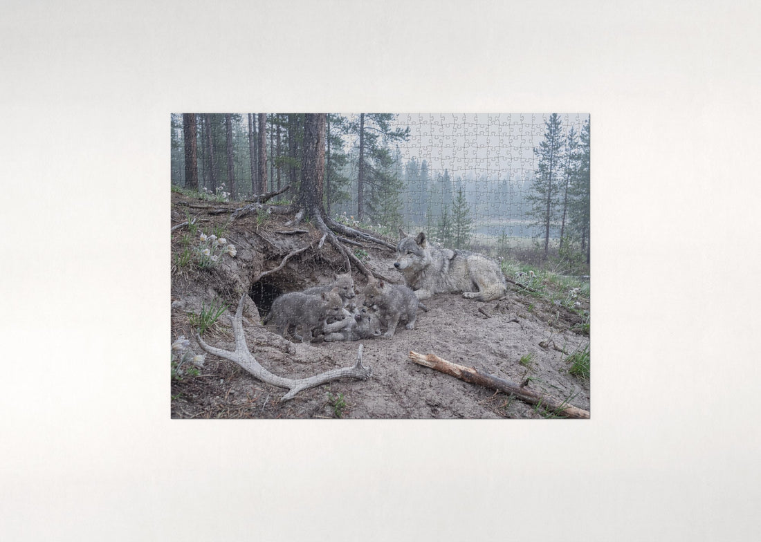 Wolf Pups at the Den jigsaw puzzle - gift box