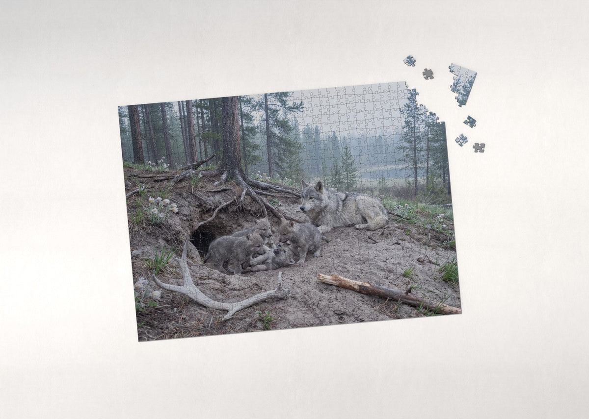 Wolf Pups at the Den jigsaw puzzle - puzzle with loose pieces