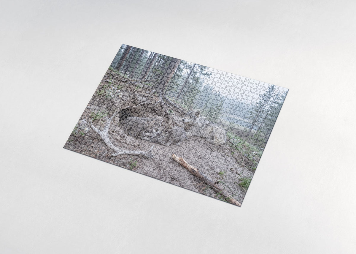 Wolf Pups at the Den jigsaw puzzle - assembled puzzle