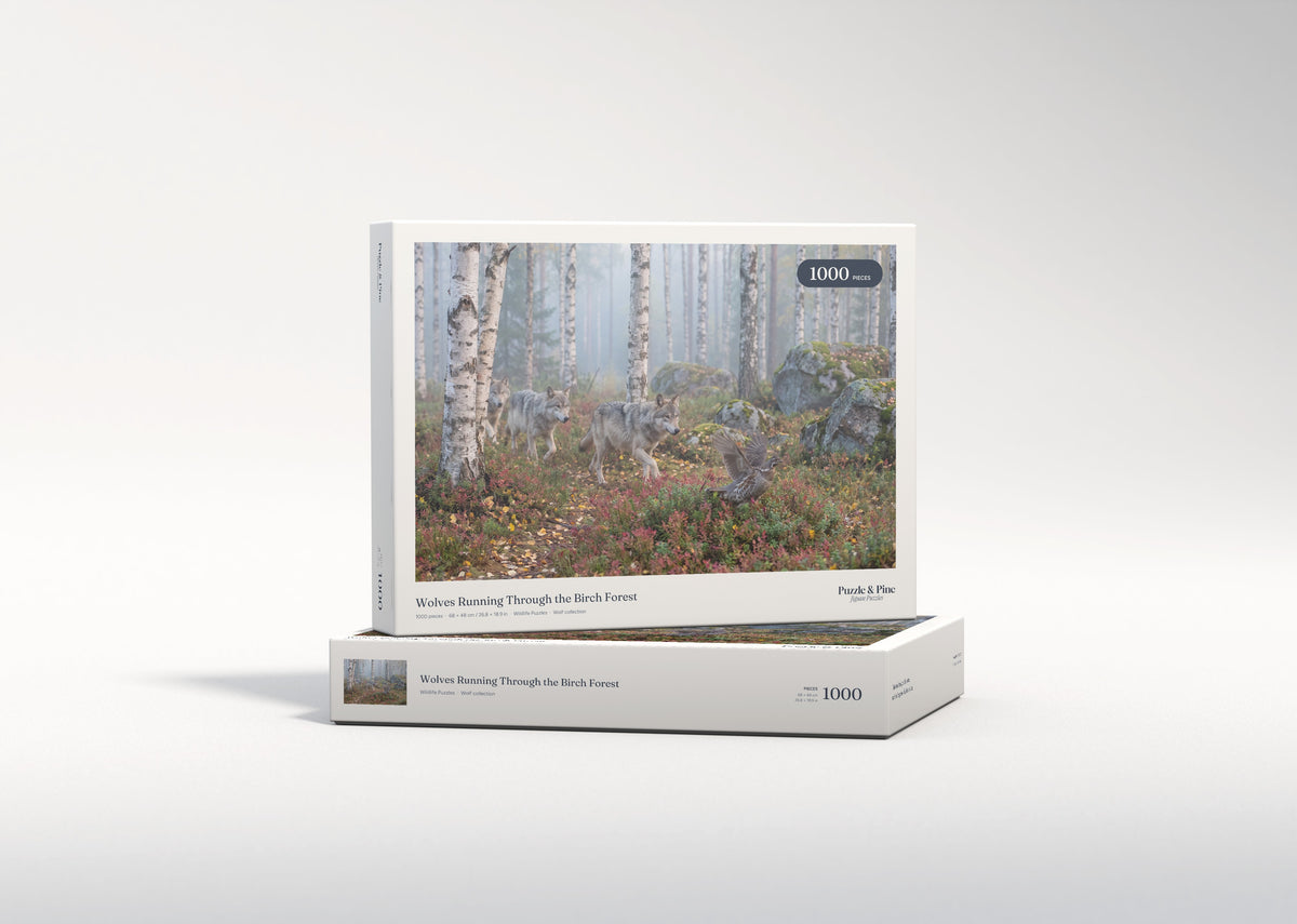 Wolves Running Through the Birch Forest jigsaw puzzle - gift box