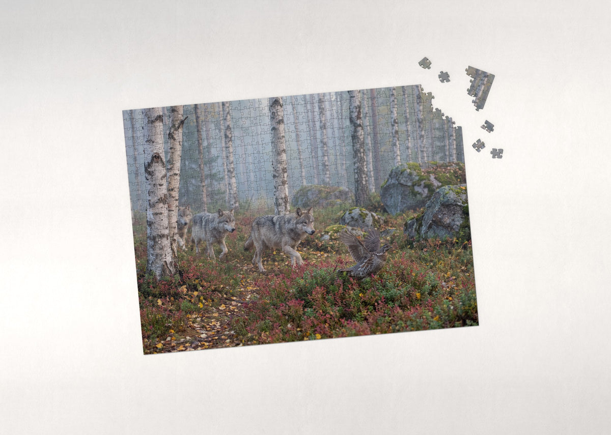 Wolves Running Through the Birch Forest jigsaw puzzle - puzzle with loose pieces