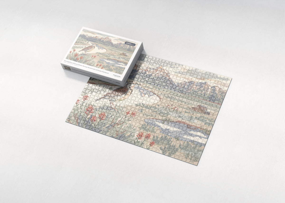Wyoming State Bird and Flower: Western Meadowlark and Indian Paintbrush jigsaw puzzle - box and puzzle