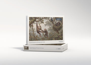 Young Chimpanzees Playing in the Canopy jigsaw puzzle - gift box