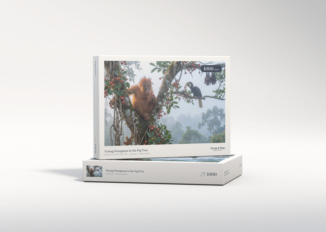 Young Orangutan in the Fig Tree jigsaw puzzle - gift box
